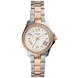 Watch strap Fossil AM4580 Steel Bi-color 14mm